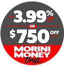 MoriniMoneyDays_$750_Grey.png