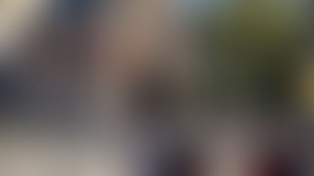 'Trump Stumped' - A Very British View on the US Elections from our team in New York