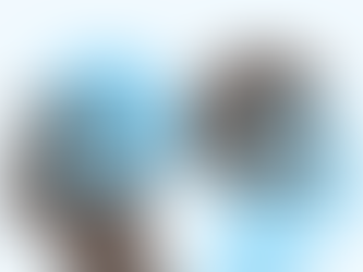 Why Building an Engaged Audience Should Take Priority Over SEO Keywords?