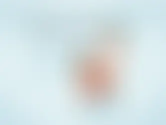 Dominate the Competition: Expert Tips and Techniques to Improve Website Visibility