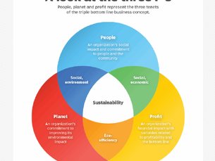 Beyond Profit: Exploring the Triple Bottom Line Approach to ESG Marketing