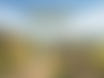 LA DESPOBLACIÓN RURAL Y LOS EQUIPAMIENTOS DE TRANSPORTE PÚBLICO