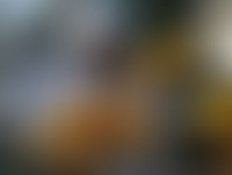 El XXII Premio Aresa distingue al Centro de Promoción Rural de Fonteboa-EFA