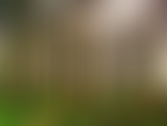 Recogida apoyos al documento "Propuesta de Pacto por los Bosques"