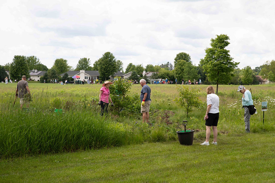 Prairie planting.jpg