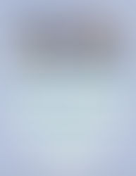 The Accidental Mayor became a Best-Seller in 5 categories on Amazon