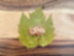 Vine leaf flat on a chopping board with the yalancı dolma filling placed at the bottom