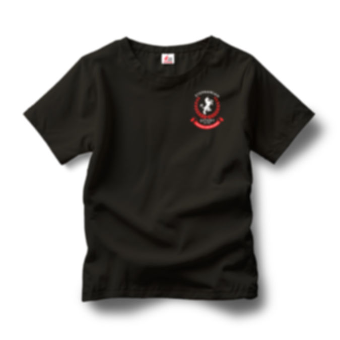 Stephanians Ottery AFC Classic Kids Tshirt