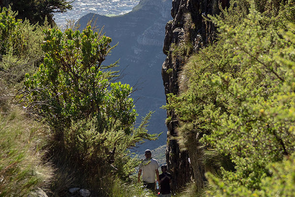 Table-Mountain-Hiking-Adventure_gal3