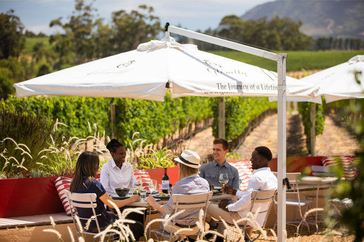 vine-bistro-wine-farms