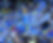 CARL5717-scaled-e1684836177650-696x556.jpg