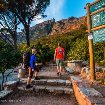Table-Mountain-Hike-12.jpeg