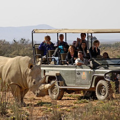 aquila-safari-game-drive-2.jpeg