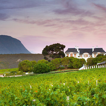 Bouchard-Finlayson-1-Stellenbosch-Visio.jpeg
