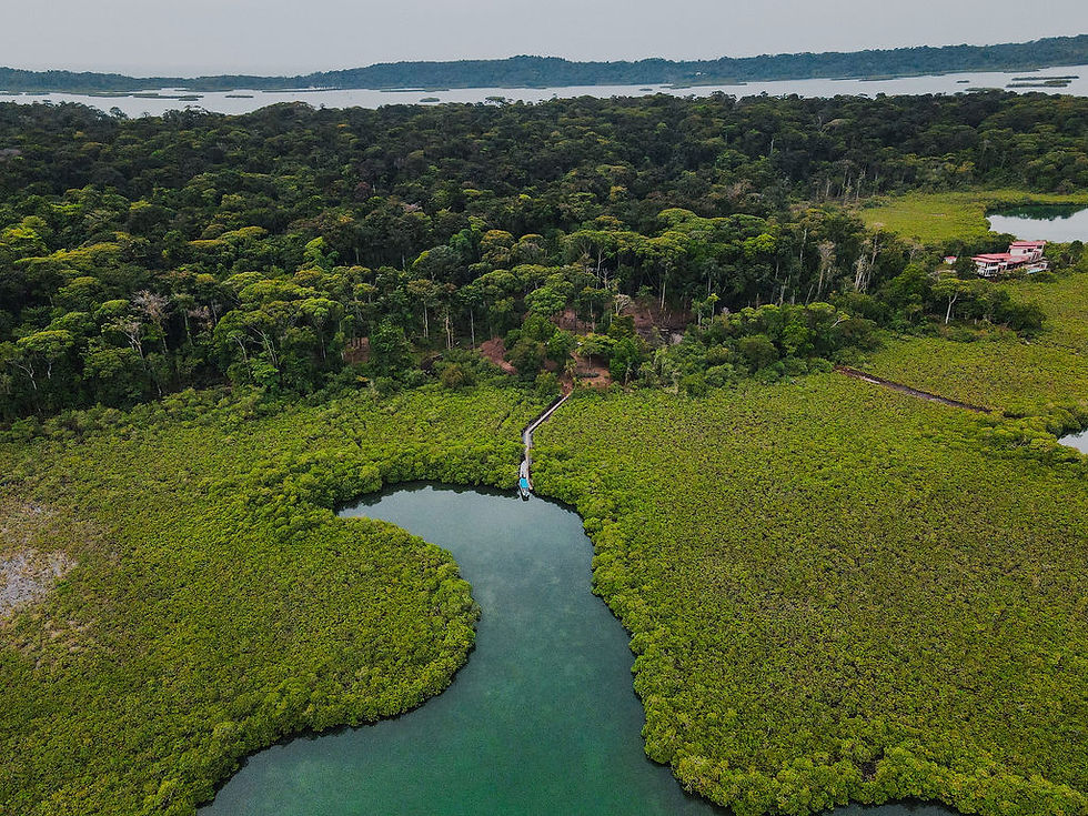 DJI_0599 (1).jpg
