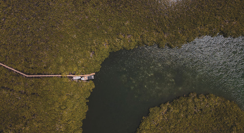 DJI_0445_edited.jpg