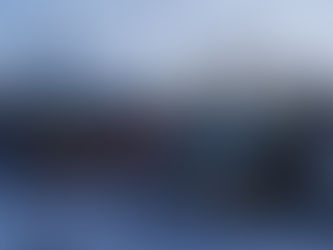 Trying Out Our New Groomer