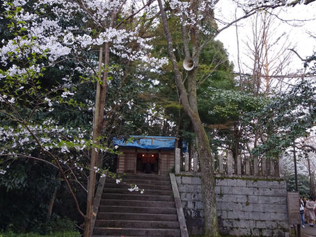 4月の参拝を行いました
