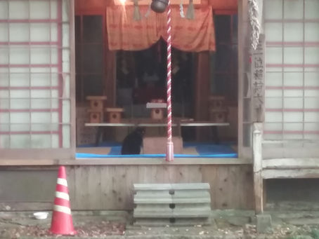 11月の参拝を行ないました。皆様にとって良い月となりますように