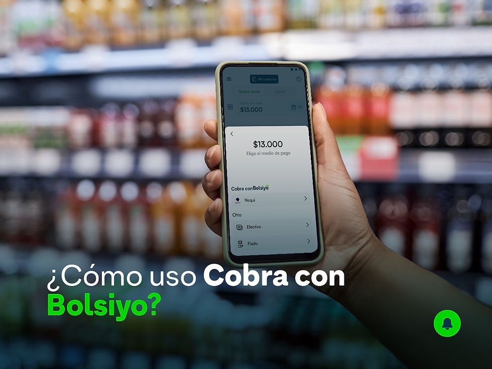 ¿Cómo uso Cobra con Bolsiyo?