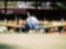 IMG_0924.jpeg