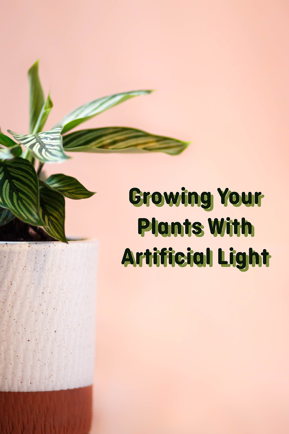 Growing Your Plants with Artificial Light