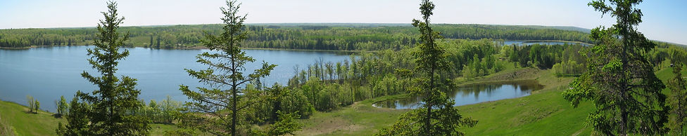 Buena Vista Hill 2.5 (3).jpg