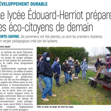La presse locale parle de nos pommiers