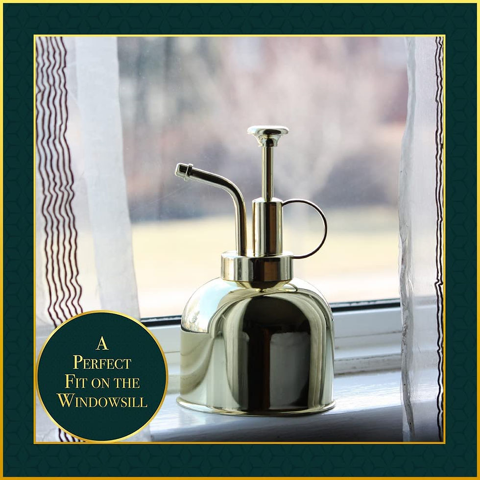 Alive Central Gold Plant Mister made of stainless steel metal on a windowsill