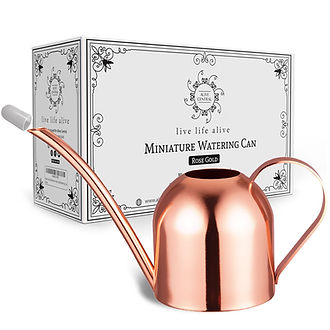 1 - Alive Central Mini Rose Gold Watering Can Main With plastic head.jpg