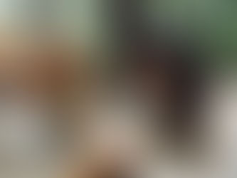 Playful Plant Personalities: Names to Name your Plant