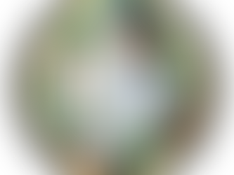 Seeds of Growth: The Extraordinary Power of Planting