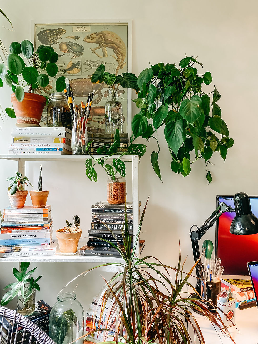 Books, plants, paintbrushes, a bookshelf