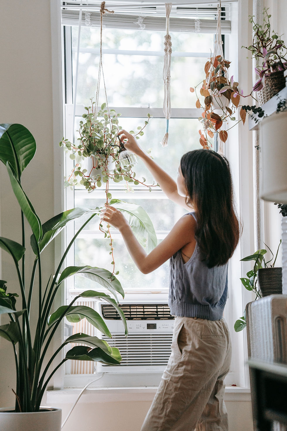 Woman with hanging plants and large green potted plant