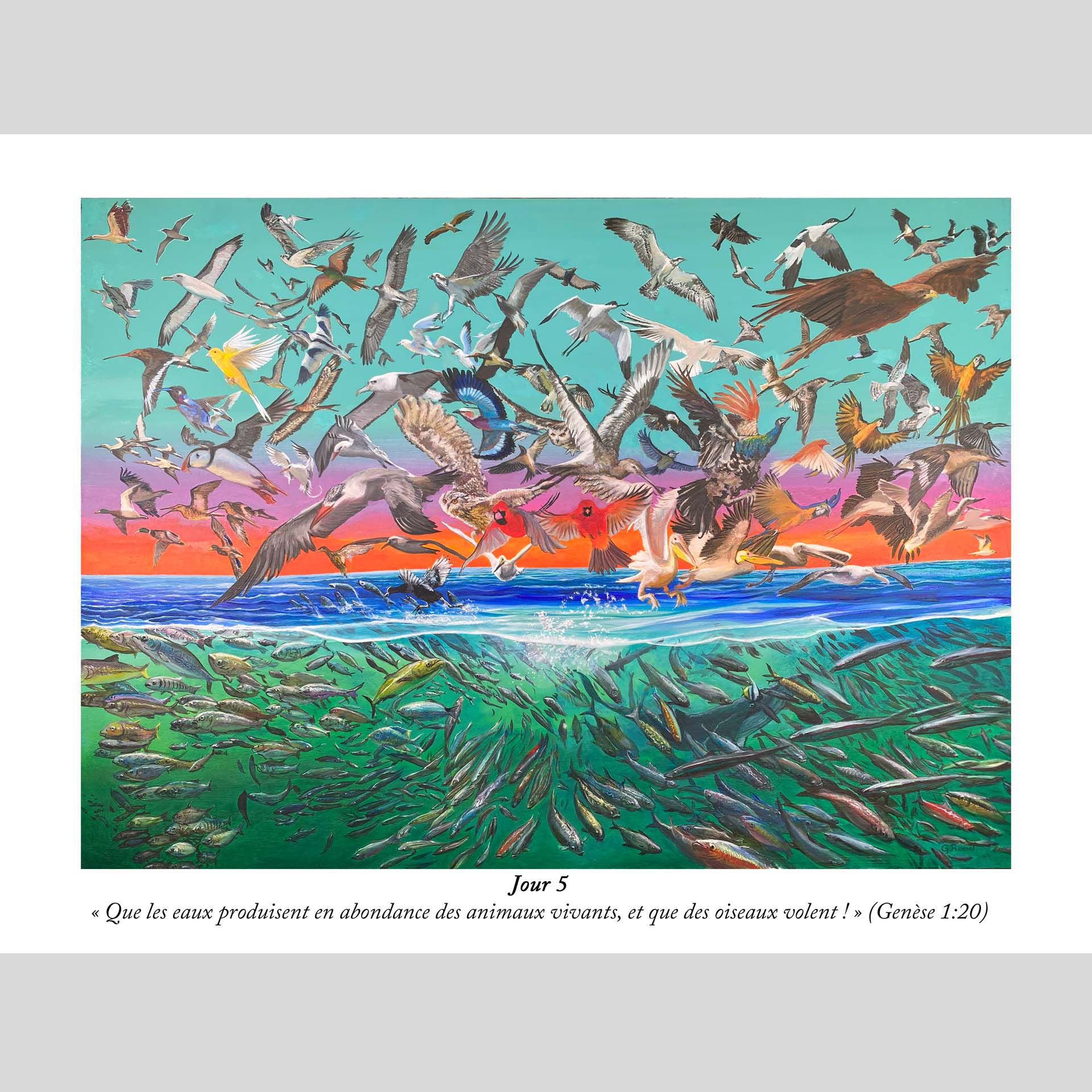 Jour 5 "Que les eaux produisent en abondance des animaux vivants, et que des ois