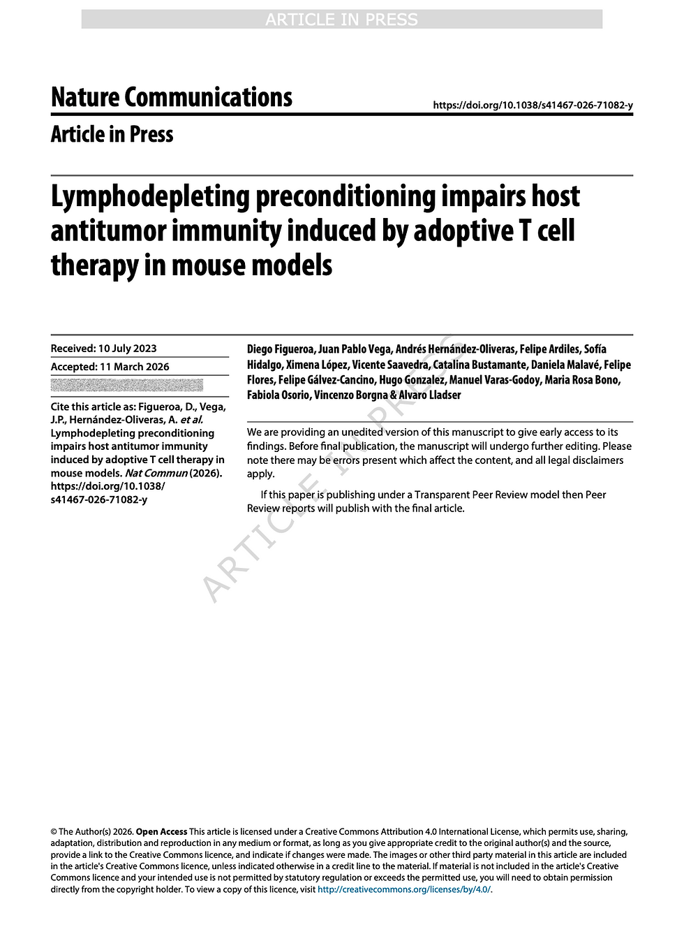 Lymphodepleting preconditioning impairs host antitumor immunity induced by adoptive T cell therapy in mouse models