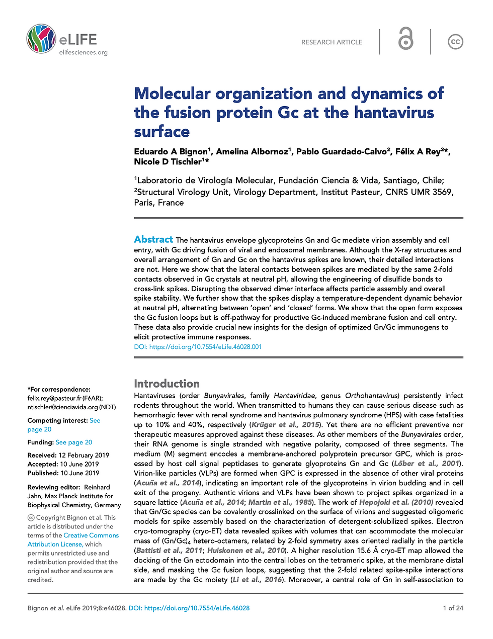 Molecular organization and dynamics of the fusion protein Gc at the hantavirus surface