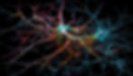 Biology of Neurodegeneration Lab