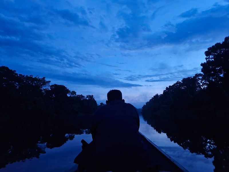 Cielo azul en la selva peruana.jpg