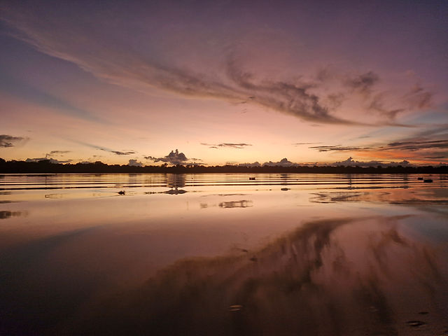 Atardecer en la selva.jpg