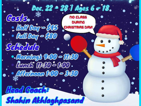 Winter Break Table Tennis Youth Camp Dec 22-28