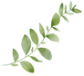 葉