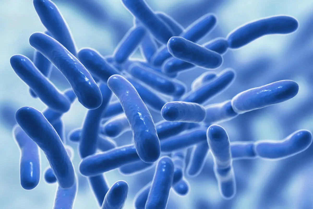 ProbioticPower.webp