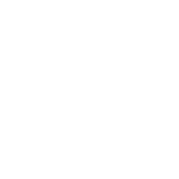 YouTube icon