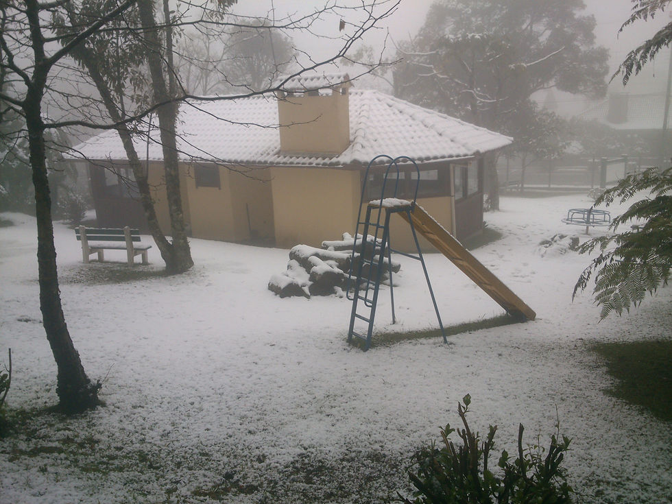 Neve