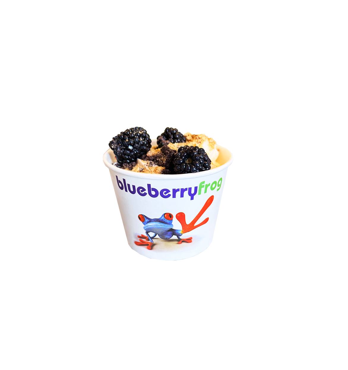 Blueberry Frog, frozen yogurt shop in Greenville