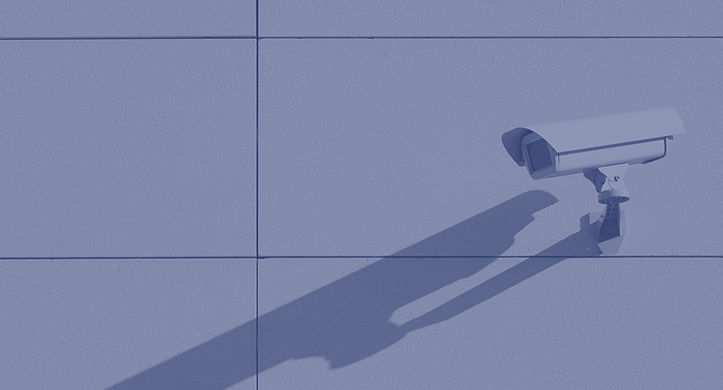 Security Surveillance_edited.jpg