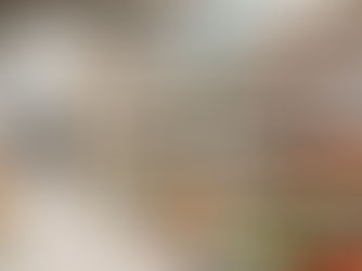 Quy mô kinh doanh của người Việt tại Phần Lan và con đường xây dựng cộng đồng mạnh