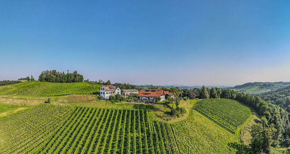 Weingut Hack-Gebell.jpg
