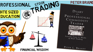 Diary Of A Professional Trader by Peter Brandt